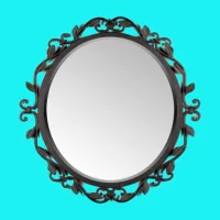 镜子：翻转视角，看见他人眼中的真实自己!